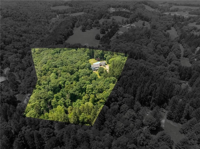 16 Mcdowell Rd, Ligonier Twp, PA 15658 - aerial view of a heavily wooded area