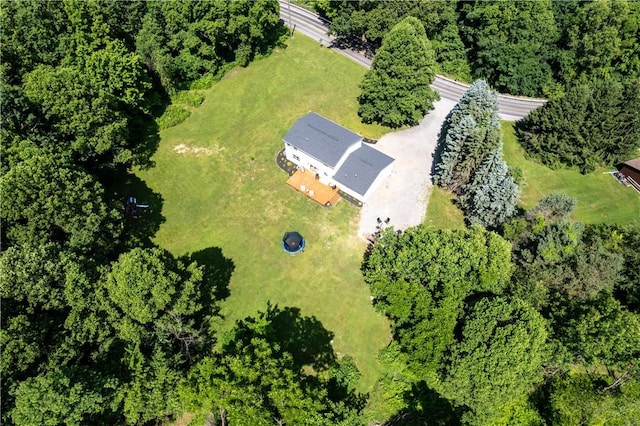 2990 Old Plank Rd, Neshannock Twp, PA 16105 - photo 40