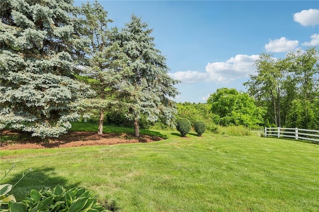 114 Dolores Dr, Penn Twp, PA 15642 - photo 30