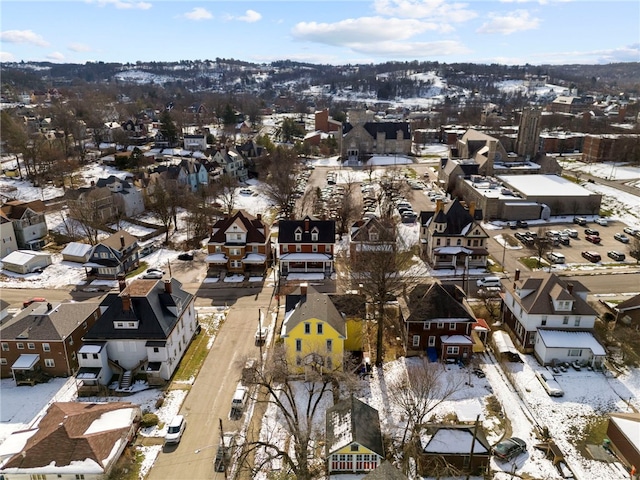 432-434 E Chestnut St E, Washington Boro, PA 15301 - aerial view of residential area