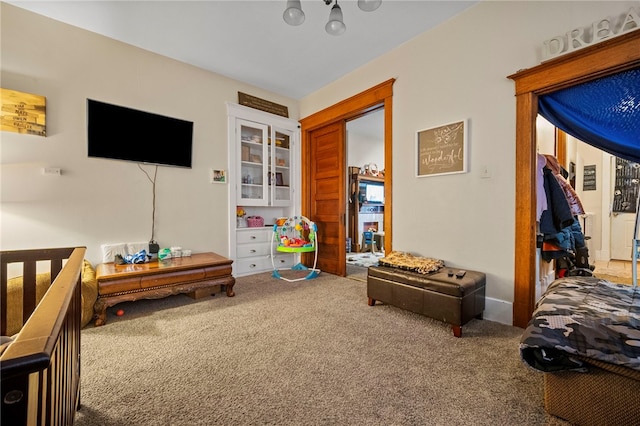 432-434 E Chestnut St E, Washington Boro, PA 15301 - recreation room with carpet floors