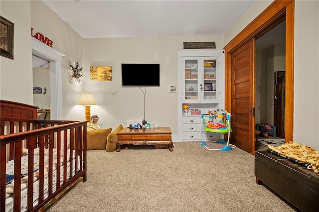 432-434 E Chestnut St E, Washington Boro, PA 15301 - carpeted bedroom with a nursery area