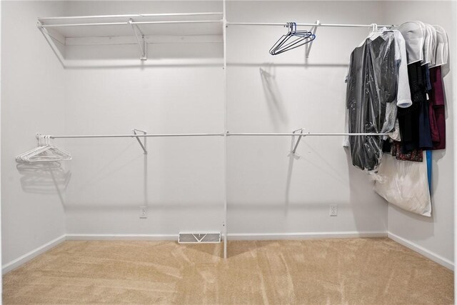 202 Ringneck Meadow Dr, Worth Twp, PA 16057 - spacious closet with carpet floors