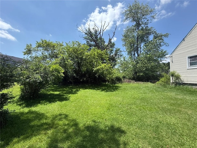 2425 Degenhardt Rd, Hampton, PA 15044 - view of grassy yard