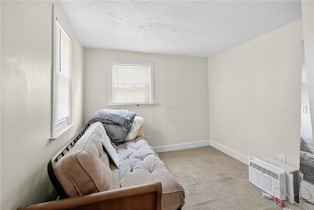 201 La Belle St, Mt Washington, PA 15211 - living area featuring carpet flooring and a textured ceiling