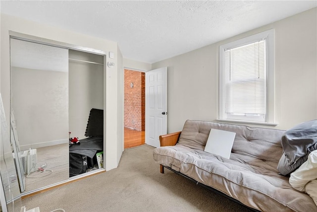 201 La Belle St, Mt Washington, PA 15211 - living area with carpet flooring and a textured ceiling