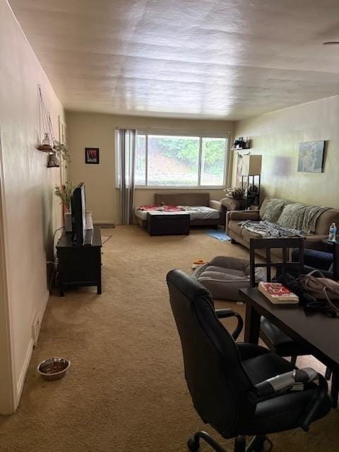 3141 Beechwood Blvd, Squirrel Hill, PA 15217 - living area with light colored carpet