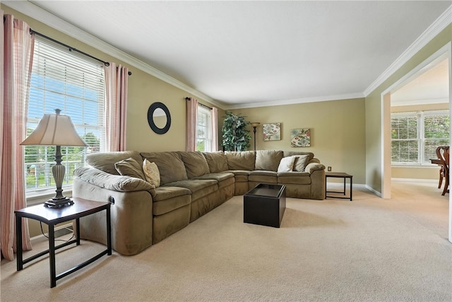 708 Reiser Ct, Cranberry Twp, PA 16066 - carpeted living room featuring crown molding and plenty of natural light