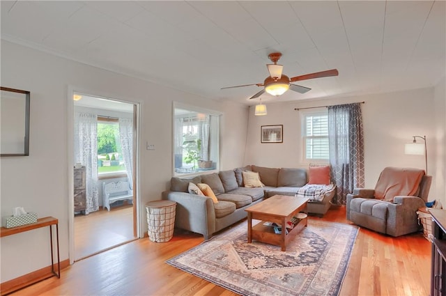520 38th St, Beaver Falls, PA 15010 - living room featuring healthy amount of natural light, light wood-style flooring, and a ceiling fan