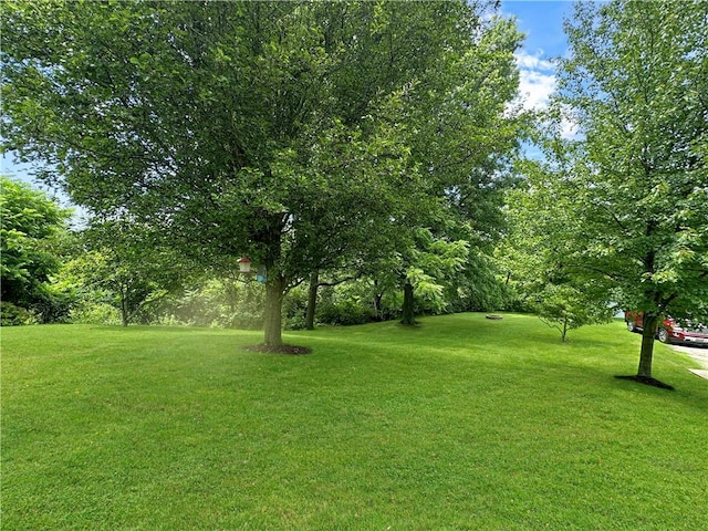 1024 Beechland St, Lincoln Place, PA 15207 - photo 4