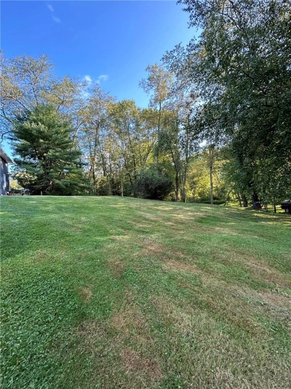 192 Yellow Creek Rd, Lancaster Twp, PA 16037 - view of grassy yard