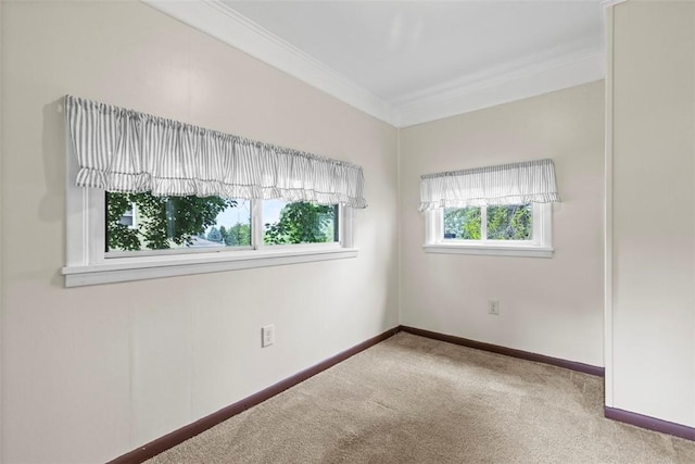 2400 Conway Wallrose Rd, Economy, PA 15042 - photo 7