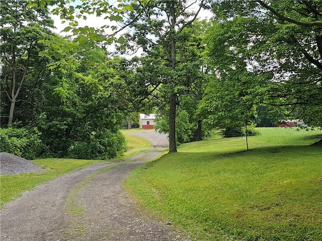 459 Big Knob Rd, New Sewickley Twp, PA 15074 - view of home's community featuring a yard