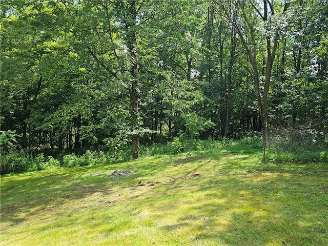 459 Big Knob Rd, New Sewickley Twp, PA 15074 - view of local wilderness