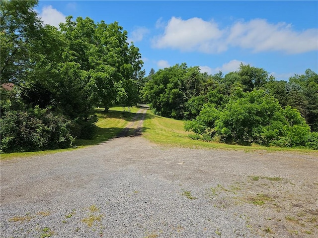 459 Big Knob Rd, New Sewickley Twp, PA 15074 - view of dirt / gravel road with a view of trees