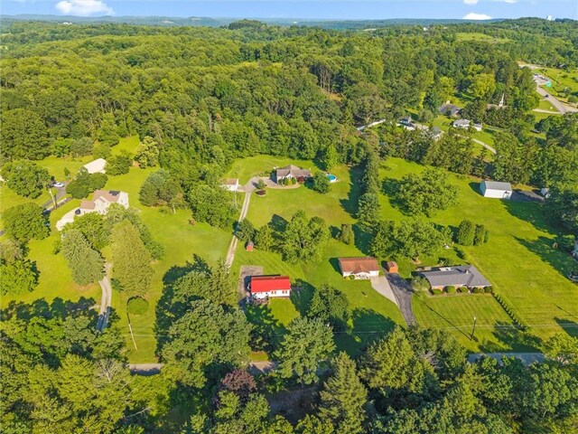 206 Harbison Rd, Buffalo Twp, PA 16055 - photo 40