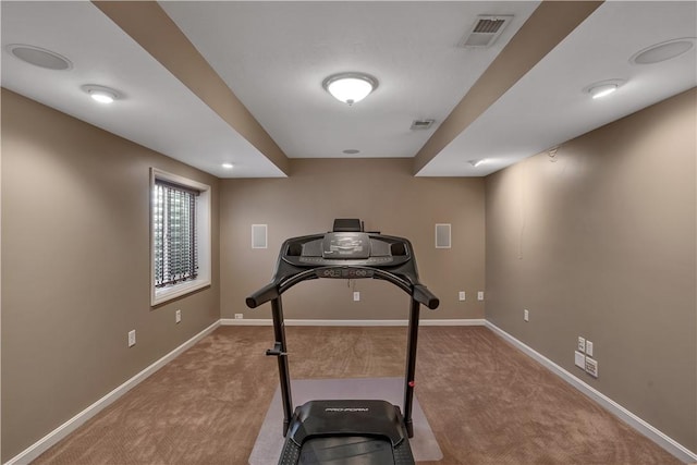 371 Marshall Heights Dr, Marshall, PA 15090 - exercise room with carpet flooring