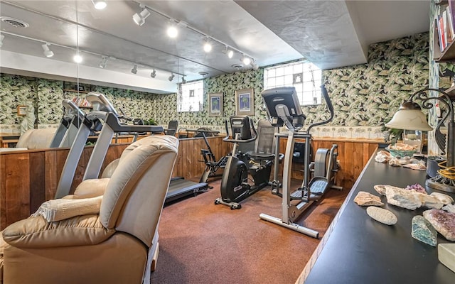 130 Killarney Rd, Pine Twp, PA 15090 - exercise room featuring wallpapered walls and track lighting