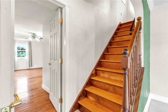 3405 Willett Rd, Baldwin Boro, PA 15227 - stairs featuring wood finished floors and ceiling fan