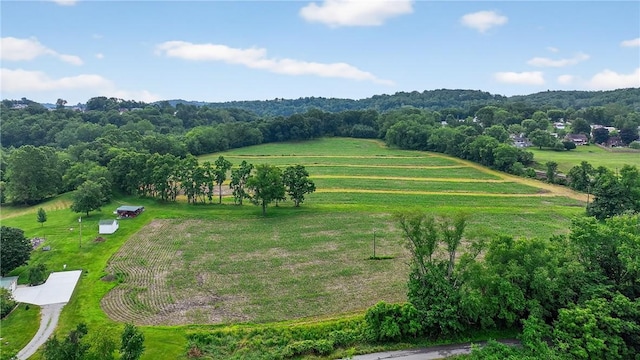 160 Railroad St, Hempfield Twp, PA 15665 - view of rural area