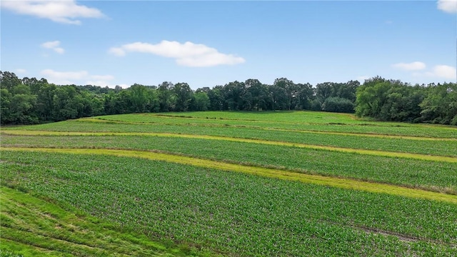 160 Railroad St, Hempfield Twp, PA 15665 - surrounding community featuring a yard and a rural view