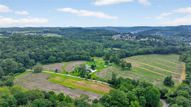 160 Railroad St, Hempfield Twp, PA 15665 - view of rural area with a forest