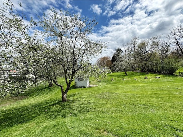 1215 Center Rd, Monaca, PA 15061 - view of green lawn with an outbuilding