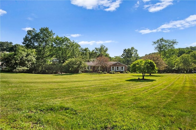 1222 Lakevue Dr, Penn Twp, PA 16002 - view of grassy yard