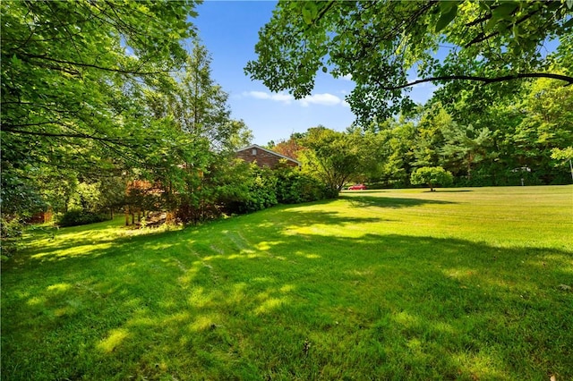 1222 Lakevue Dr, Penn Twp, PA 16002 - view of grassy yard