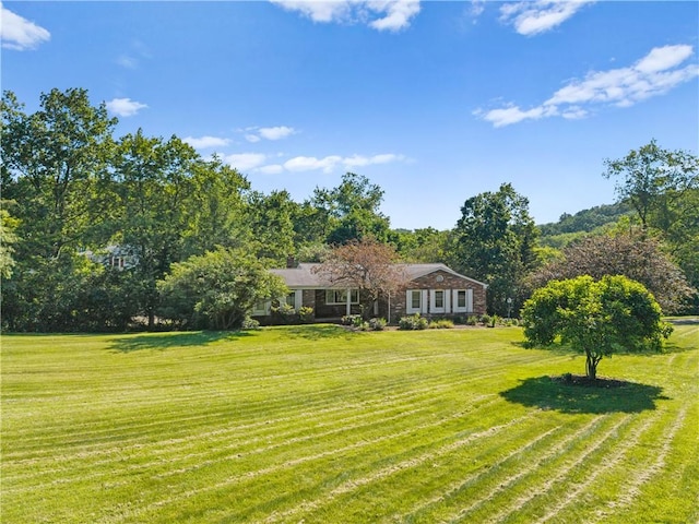 1222 Lakevue Dr, Penn Twp, PA 16002 - view of grassy yard
