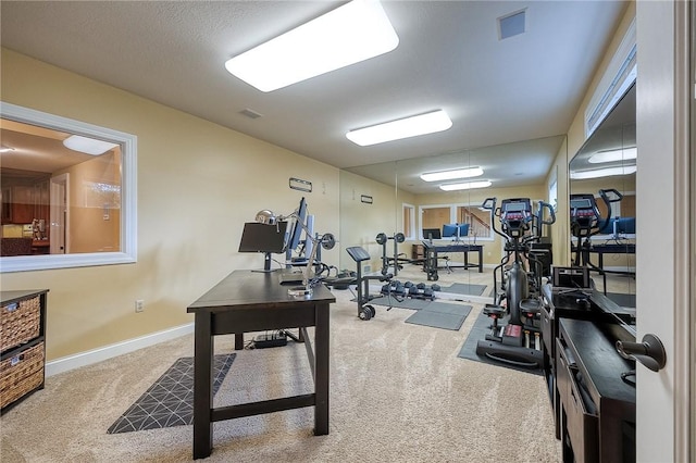 522 Salem Hts, Pine Twp, PA 15044 - exercise room with carpet floors and baseboards