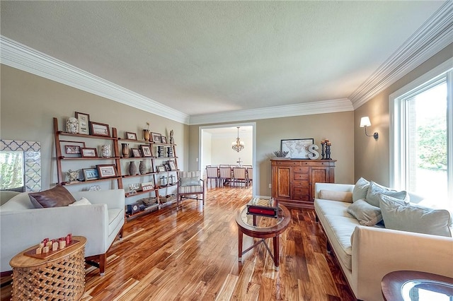 522 Salem Hts, Pine Twp, PA 15044 - living area featuring wood finished floors, healthy amount of natural light, ornamental molding, a chandelier, and a textured ceiling