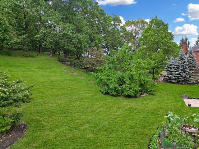 522 Salem Hts, Pine Twp, PA 15044 - view of green lawn