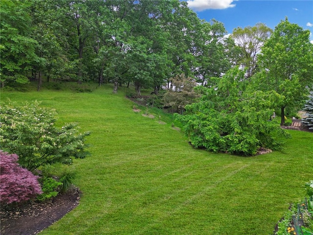 522 Salem Hts, Pine Twp, PA 15044 - view of grassy yard