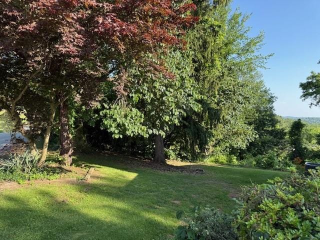 263 Knob School Rd, California, PA 15417 - photo 26