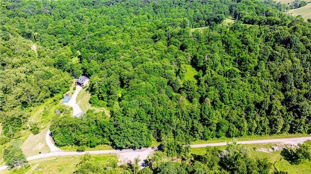 479 Bell Run Rd, Waynsbrg/Frankln Twp, PA 15362 - aerial view of property's location with a forest