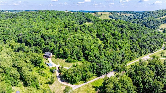 479 Bell Run Rd, Waynsbrg/Frankln Twp, PA 15362 - bird's eye view of a heavily wooded area