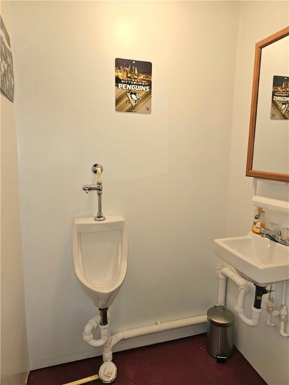 342 Concord Church Rd, North Sewickley Twp, PA 15010 - photo 40
