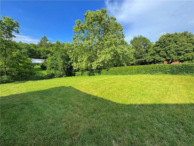 81 Baltimore St, Irwin, PA 15642 - view of green lawn