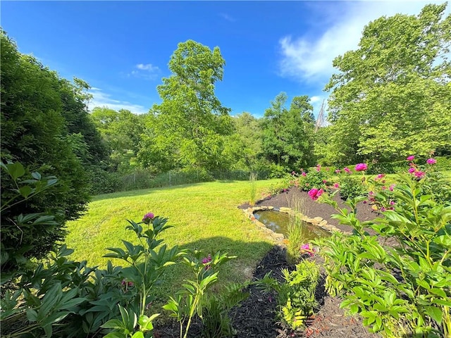81 Baltimore St, Irwin, PA 15642 - view of green lawn