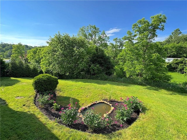 81 Baltimore St, Irwin, PA 15642 - view of grassy yard