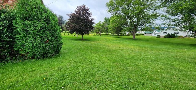 248 Plank Rd, Somerset Boro, PA 15501 - photo 25