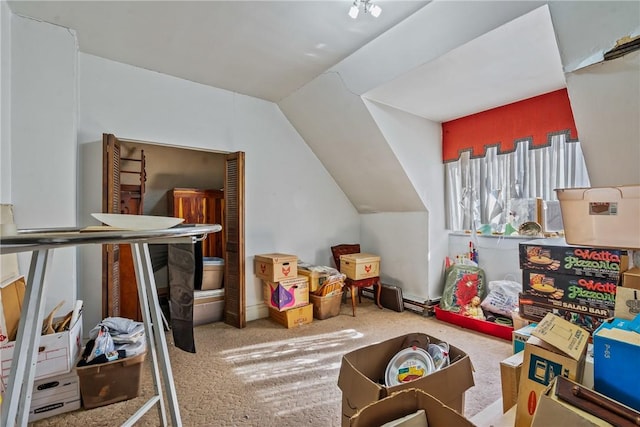 1503 Beechview Ave, Beechview, PA 15216 - recreation room with carpet floors and vaulted ceiling