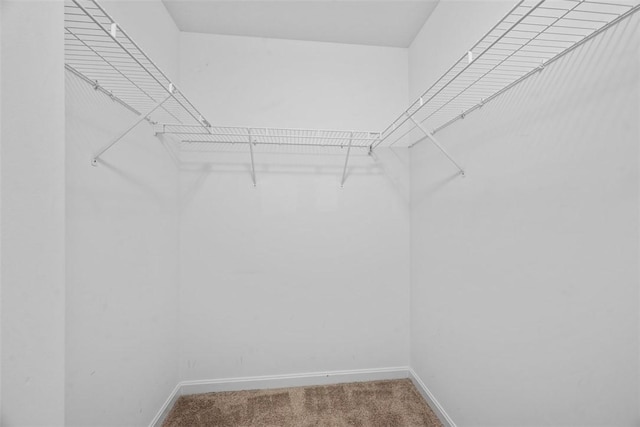 1702 S Hawthorn Ct, Franklin Park, PA 15237 - photo 23