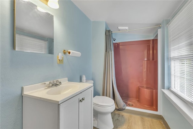 248 Shaffer Rd, North Sewickley Twp, PA 15010 - full bathroom with wood finished floors, vanity, and a shower with shower curtain