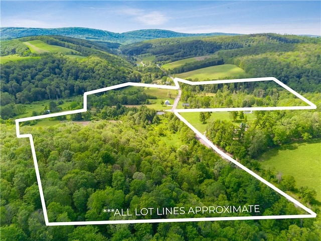 1171 Dividing Ridge Rd, Allegheny Twp, PA 15538 - aerial view of property and surrounding area featuring property parcel outlined and a mountain backdrop