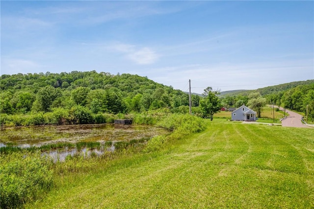 1171 Dividing Ridge Rd, Allegheny Twp, PA 15538 - view of yard with a forest view