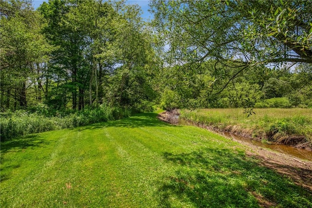 1171 Dividing Ridge Rd, Allegheny Twp, PA 15538 - view of grassy yard featuring a wooded view