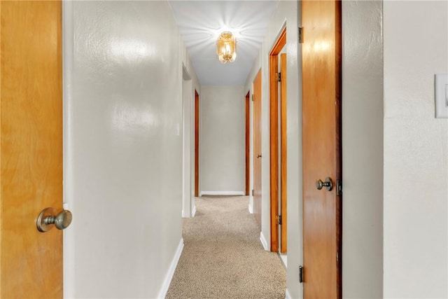 431 Park Ave, Clairton, PA 15025 - photo 15