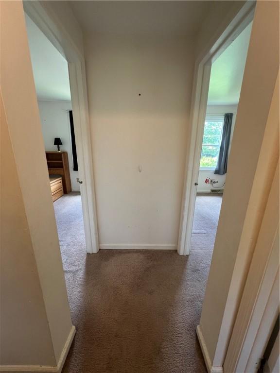 311 Cornetti Rd, Clearfield Twp, PA 16034 - photo 25